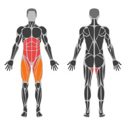 Dumbbell Side Bridge affected muscles