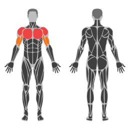 One-Arm Low Fly Dumbbell affected muscles