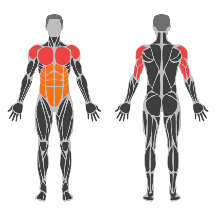 Triceps and Chest affected muscles