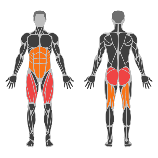Landmine Squat affected muscles