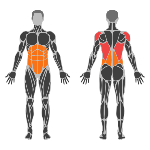 Kettlebel Renegade Row affected muscles