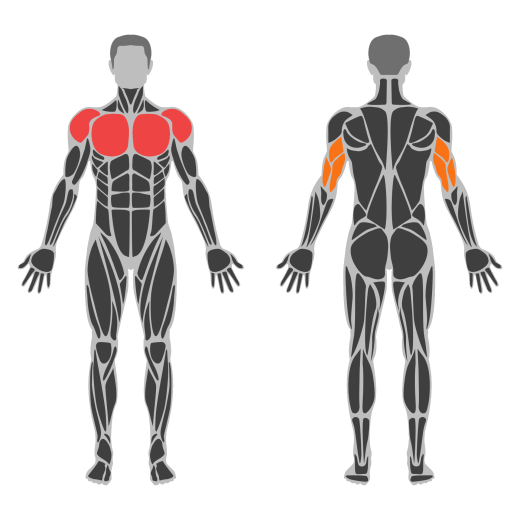 Cable Kneeling High To Low Fly affected muscles