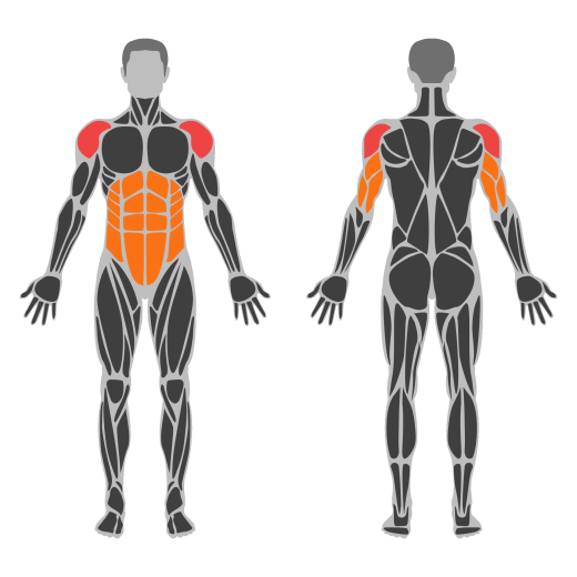 Handstand Push-Up affected muscles