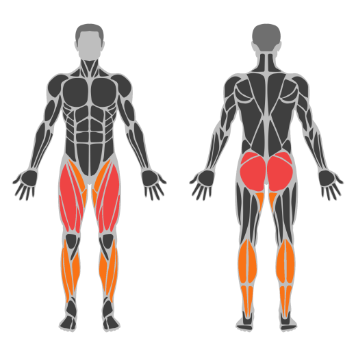 Sumo Squat affected muscles