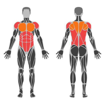Upper Body and Core affected muscles