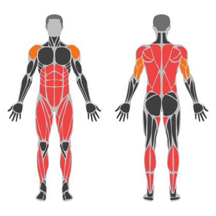 Conditioning Circuit affected muscles