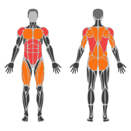 Posture Strength affected muscles