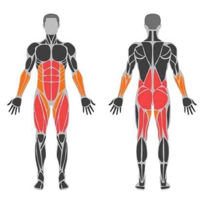 Lower Strength affected muscles