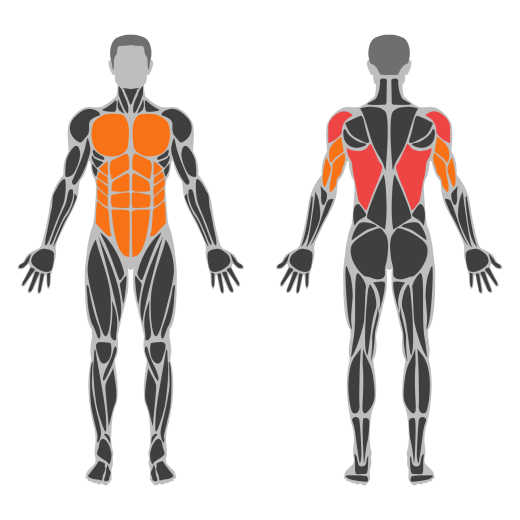 Cable Thibaudeau Kayak Row affected muscles