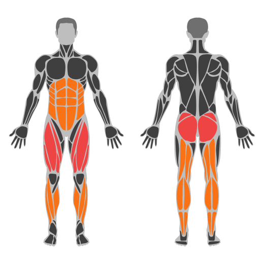 Stair Climber affected muscles