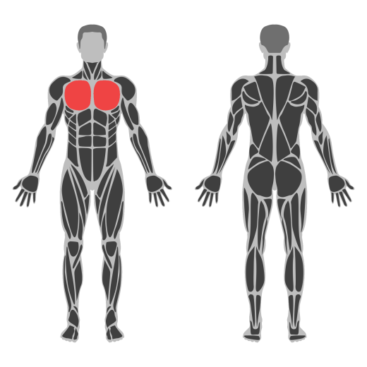 Elbow Out Chest Stretch affected muscles