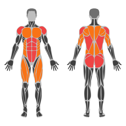 Full Body Strength affected muscles