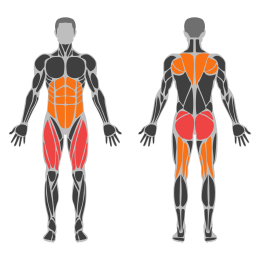 One-Arm Kettlebell Swing affected muscles