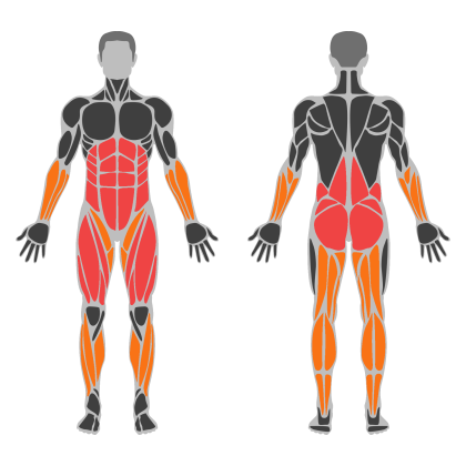 Lower Body and Glutes affected muscles
