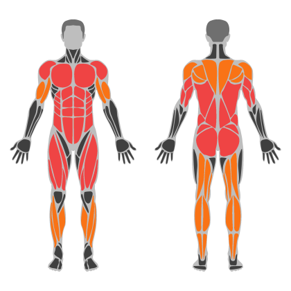 Full Body Technique affected muscles