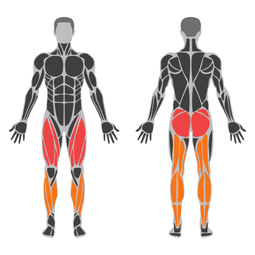 Dumbbell Reverse Lunge off Step affected muscles