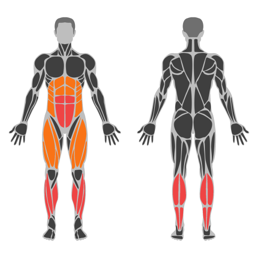 TRX Single Leg Bird Dog affected muscles