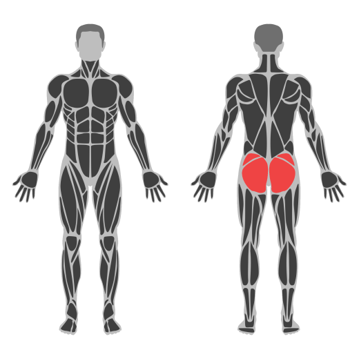 Band Hip Abduction affected muscles