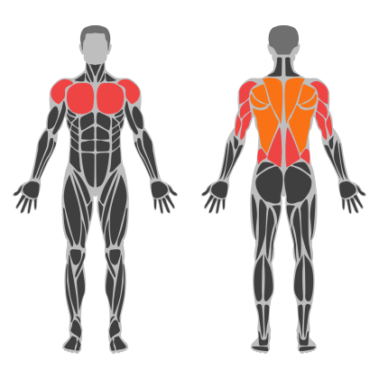 Triceps and Chest affected muscles
