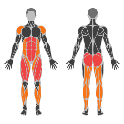 Lower Strength affected muscles