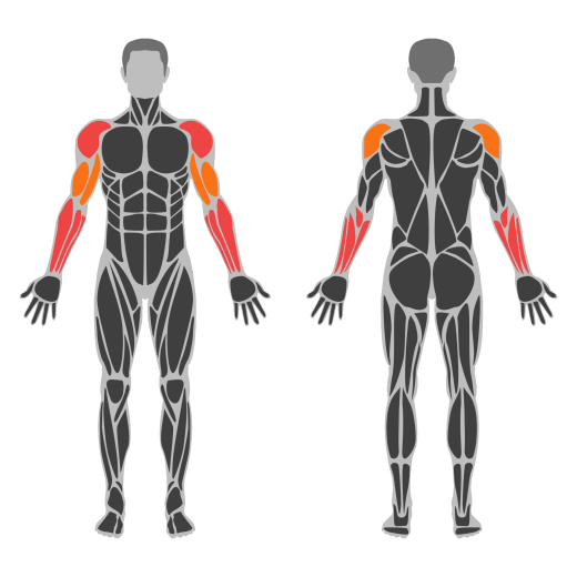 Cable Standing Wrist Roll affected muscles