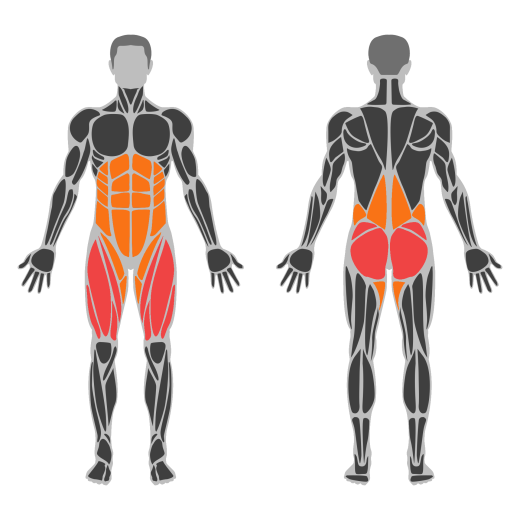 Čučanj s utegom na leđima affected muscles
