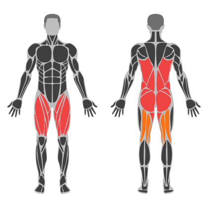 Glute Strength affected muscles