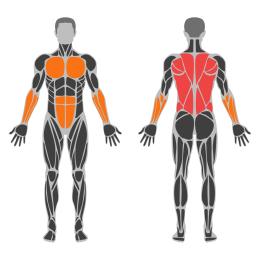 Inverted Shrug affected muscles