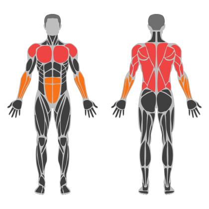Upper Accessory affected muscles