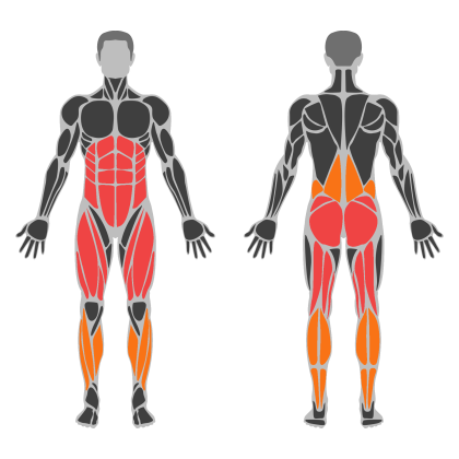 Lower Body and Glutes affected muscles
