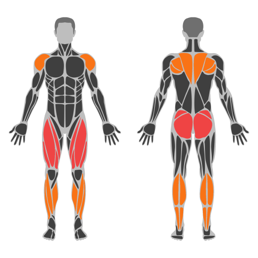 Kettlebell Swing affected muscles