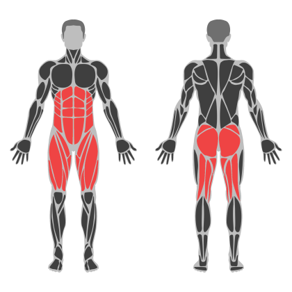 Glute Strength affected muscles