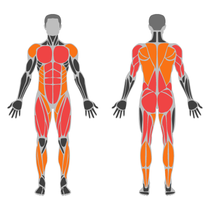 Full Body Technique affected muscles