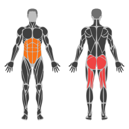 Sliding Leg Curl affected muscles
