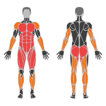 Lower Strength affected muscles