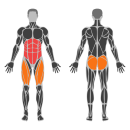 Mountain climber affected muscles