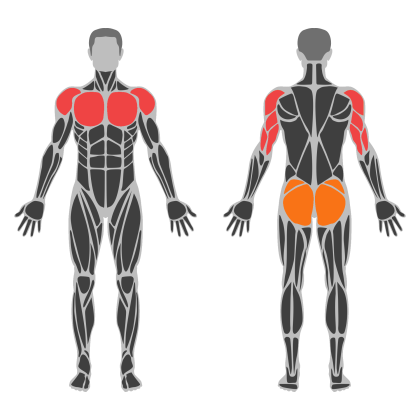 Chest Volume affected muscles