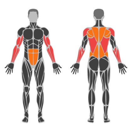 Biceps and Back affected muscles