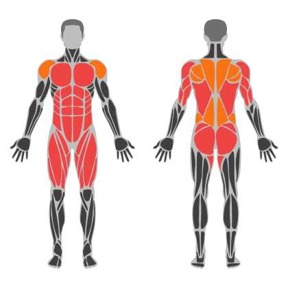 Full Body A affected muscles