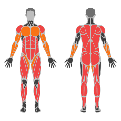 Conditioning Circuit affected muscles
