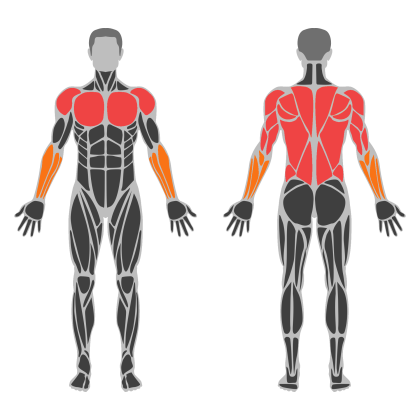 Upper Strength affected muscles