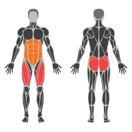 Hip Thrust Smith Machine affected muscles