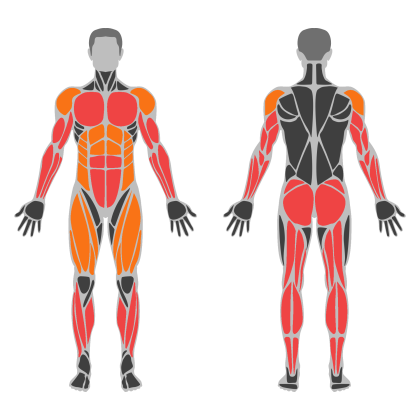 Full Body C affected muscles