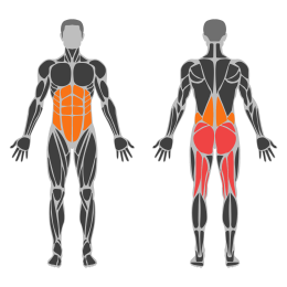 Single Leg Romanian Deadlift affected muscles