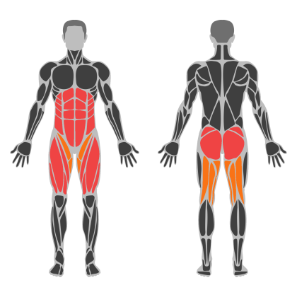 Legs affected muscles