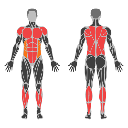 Full Body Technique affected muscles