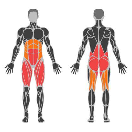 Glute Strength affected muscles