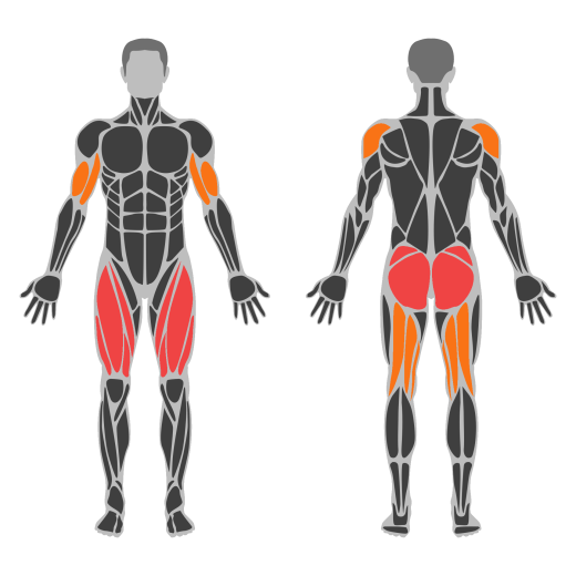 Elliptical Trainer affected muscles