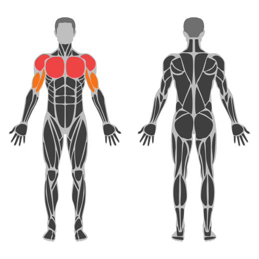 One-Arm Low Fly Dumbbell affected muscles