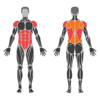 Posture Strength affected muscles